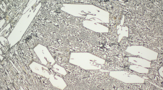 Typical microstructure VAUTID 100 Mo