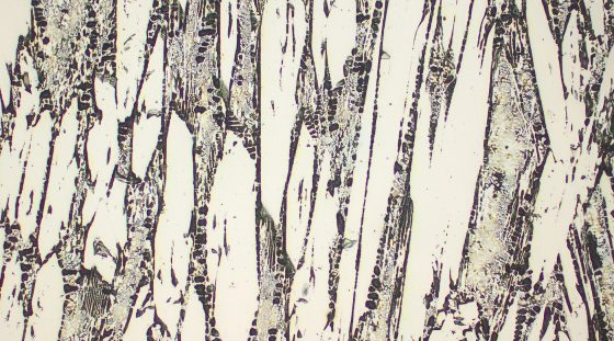 Typical microstructure VAUTID 150